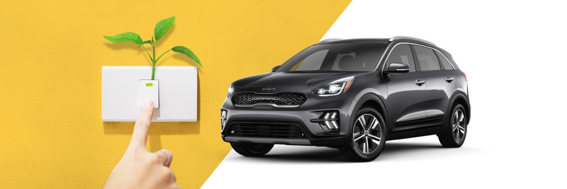 Light switch being turned on with small green plant growing out of it