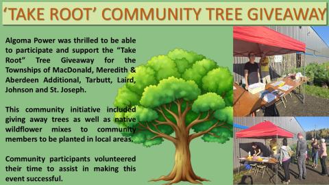 API - Take Root Initiative - 2025